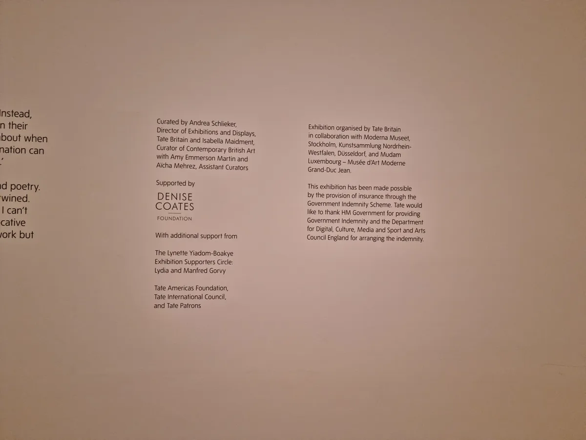 Lynette Yiadom-Boakye Gallery Image 206